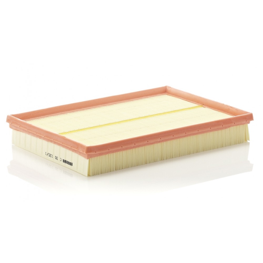 ΦΙΛΤΡΟ ΑΕΡΟΣ OPEL COMBO 01-,CORSA C 00-12,MERIVA A 03-10,TIGRA 04-10 (EAF038)(COMLINE)(835626)