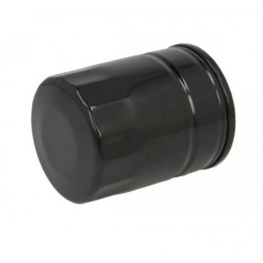 ΦΙΛΤΡΟ ΛΑΔΙΟΥ FIAT TIPO-TEMPRA-DEDRA 3/4 (DO1816)(CLEAN FILTERS) ΦΙΛΤΡΟ ΛΑΔΙΟΥ FIAT TIPO-TEMPRA-DEDRA 3/4 (DO1816)(CLEAN FILTERS)