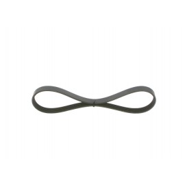 Ιμάντες POLY-V Ford Fiesta 5(JH,JD), FUSION(JU)