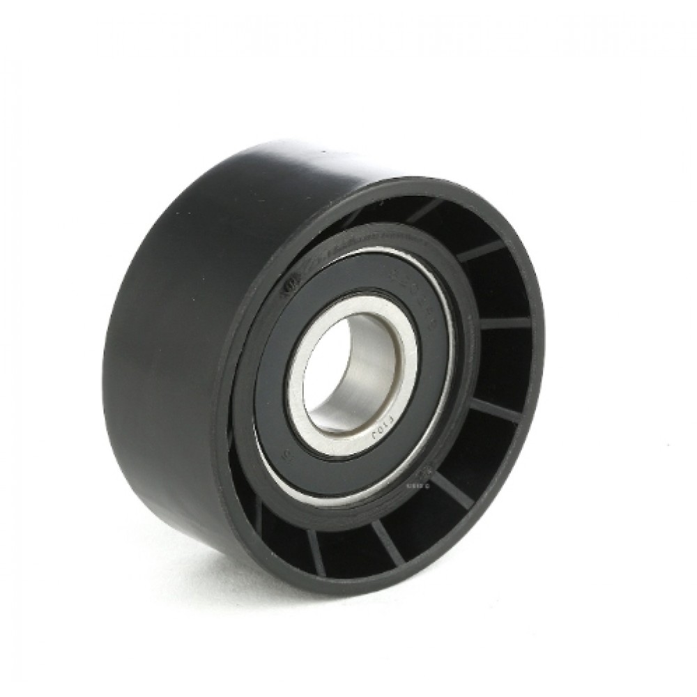 ΡΟΥΛΕΜΑΝ ΤΕΝΤΩΤΗΡΑ 17-60-25.50 (APV2159)(DAYCO) (60,2-25,5)