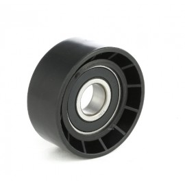 ΡΟΥΛΕΜΑΝ ΤΕΝΤΩΤΗΡΑ 17-60-25.50 (APV2159)(DAYCO) (60,2-25,5)