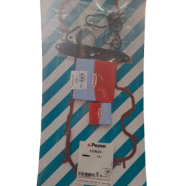 ΣΕΤ ΚΑΤΩ FIAT DOBLO 1.3D 16V Φ69.6 PAYEN