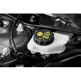 Υγρά Φρένου